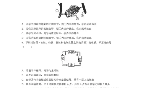 4.4.3输送血液的泵&mdash;心脏（原卷版）_初中全科电子版试卷练习试题_生物_生物人教版7下练习_人教生物7年级下课时练习40份_第2套七年级生物下册课时练习（人教版）20份