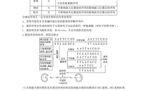 专题20基因突变和基因重组（串讲）（解析版）_新高考复习资料_2024年新高考复习资料_一轮复习资料_完备战2024年高考生物一轮复习串讲精练（新高考专用）_串讲_解析版