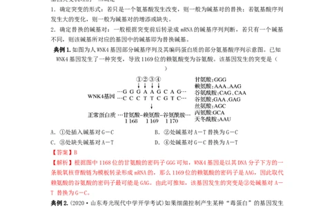 专题20基因突变和基因重组（串讲）（解析版）_新高考复习资料_2024年新高考复习资料_一轮复习资料_完备战2024年高考生物一轮复习串讲精练（新高考专用）_串讲_解析版