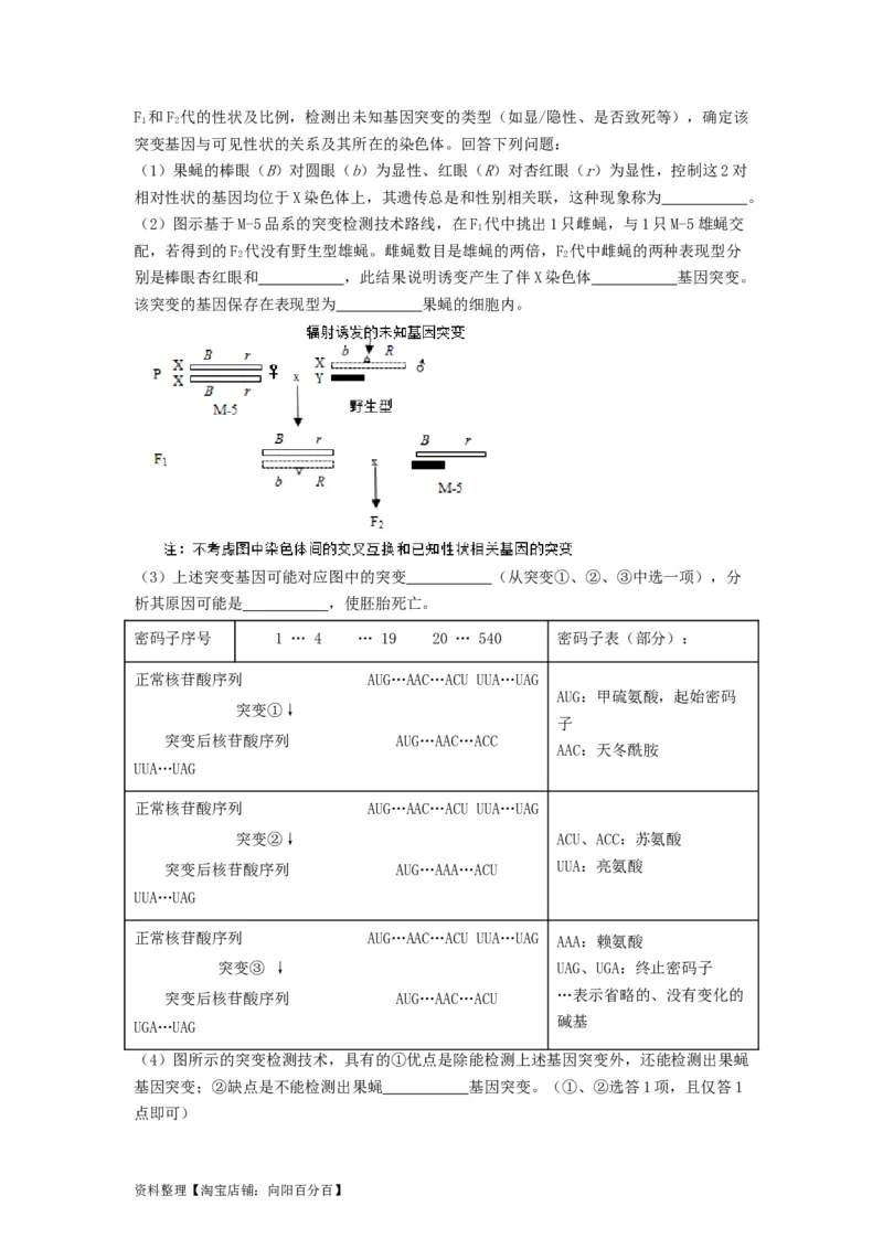 专题20基因突变和基因重组（串讲）（解析版）_新高考复习资料_2024年新高考复习资料_一轮复习资料_完备战2024年高考生物一轮复习串讲精练（新高考专用）_串讲_解析版