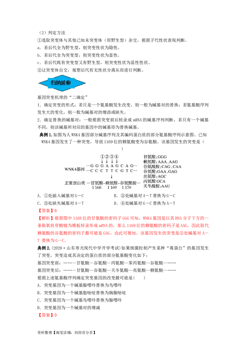 专题20基因突变和基因重组（串讲）（解析版）_新高考复习资料_2024年新高考复习资料_一轮复习资料_完备战2024年高考生物一轮复习串讲精练（新高考专用）_串讲_解析版