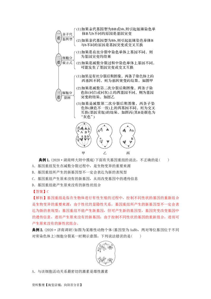 专题20基因突变和基因重组（串讲）（解析版）_新高考复习资料_2024年新高考复习资料_一轮复习资料_完备战2024年高考生物一轮复习串讲精练（新高考专用）_串讲_解析版