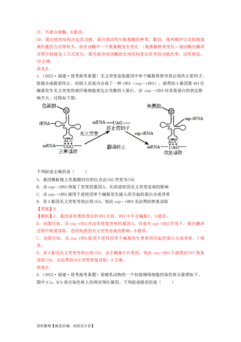专题20基因突变和基因重组（串讲）（解析版）_新高考复习资料_2024年新高考复习资料_一轮复习资料_完备战2024年高考生物一轮复习串讲精练（新高考专用）_串讲_解析版