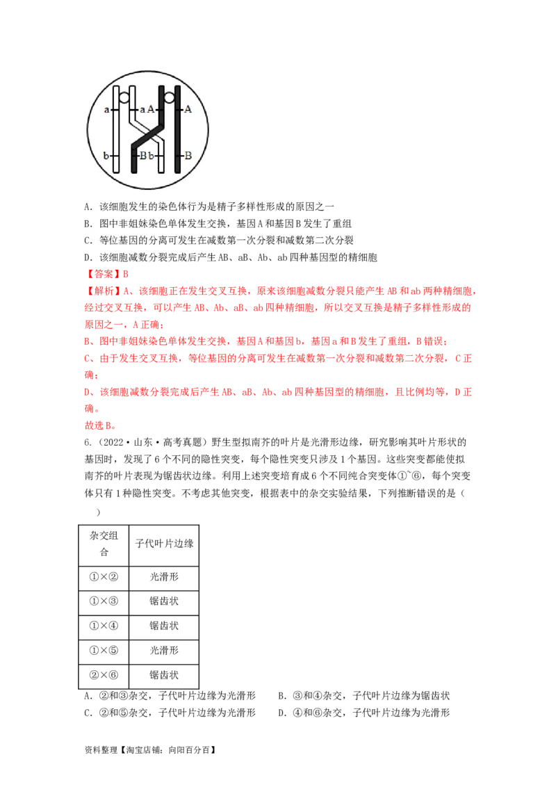 专题20基因突变和基因重组（串讲）（解析版）_新高考复习资料_2024年新高考复习资料_一轮复习资料_完备战2024年高考生物一轮复习串讲精练（新高考专用）_串讲_解析版