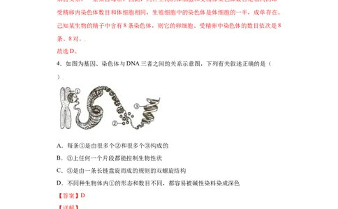 7.2.2基因在亲子代间的传递（练习）-（人教版）（解析版）_初中全科电子版试卷练习试题_生物_生物8下练习_人教生物8年级下课时练习51份