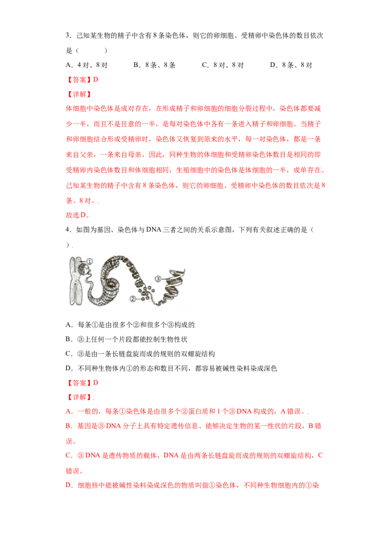 7.2.2基因在亲子代间的传递（练习）-（人教版）（解析版）_初中全科电子版试卷练习试题_生物_生物8下练习_人教生物8年级下课时练习51份