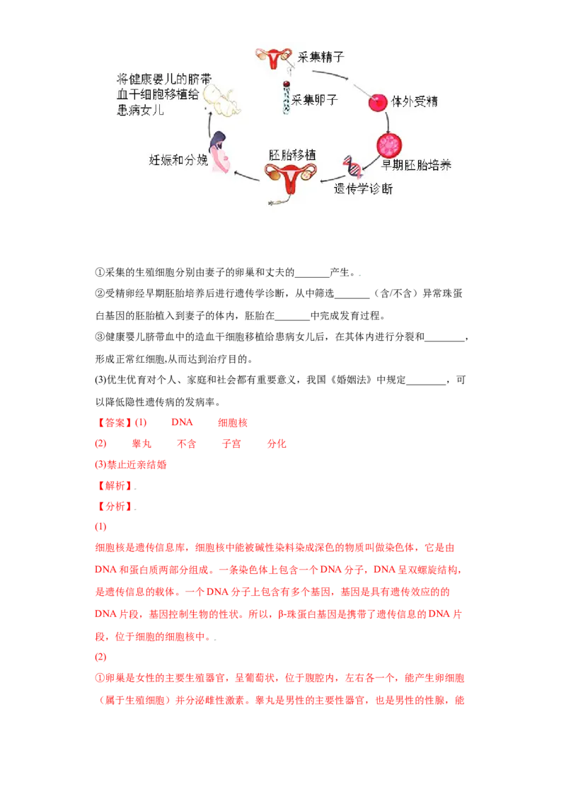 7.2.2基因在亲子代间的传递（练习）-（人教版）（解析版）_初中全科电子版试卷练习试题_生物_生物8下练习_人教生物8年级下课时练习51份