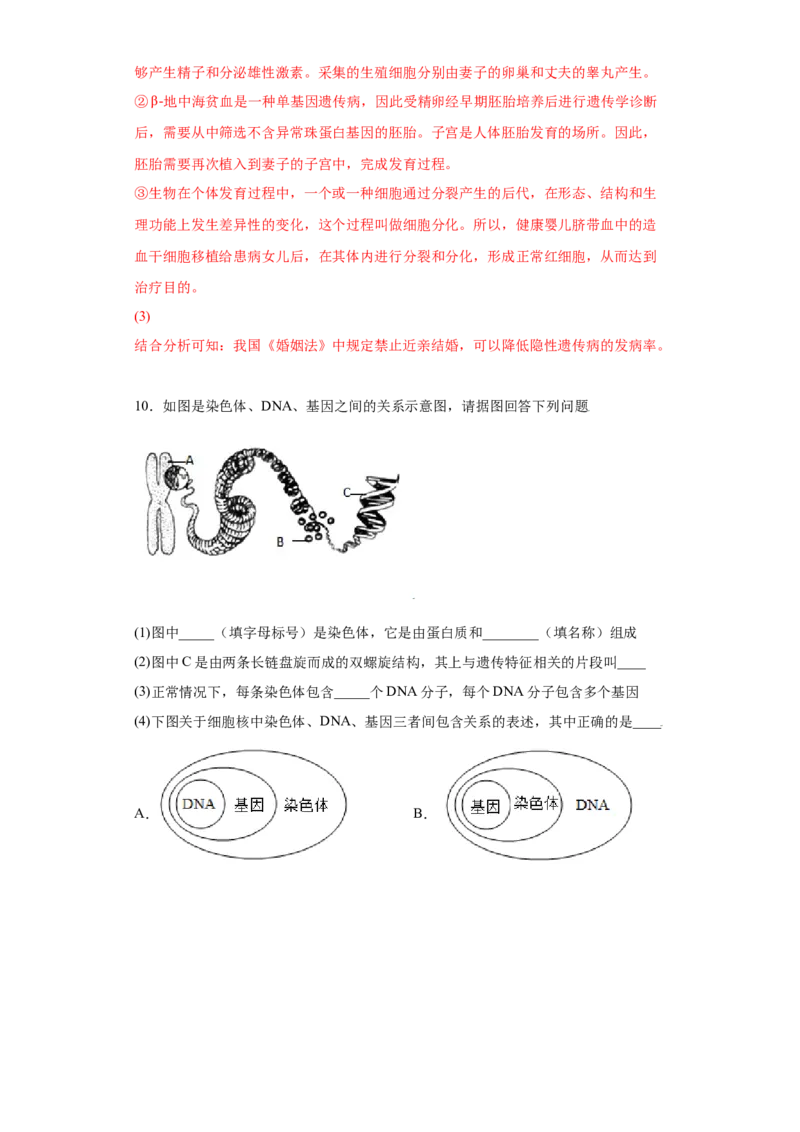 7.2.2基因在亲子代间的传递（练习）-（人教版）（解析版）_初中全科电子版试卷练习试题_生物_生物8下练习_人教生物8年级下课时练习51份