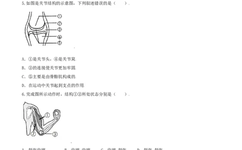 专题08图像分析-（人教版）（原卷版）_初中全科电子版试卷练习试题_生物_生物8上练习_人教生物8年级上专项练习23份_第1套八年级生物上册专项（人教版）09份