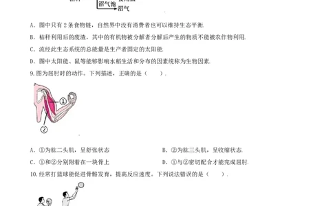 专题08图像分析-（人教版）（原卷版）_初中全科电子版试卷练习试题_生物_生物8上练习_人教生物8年级上专项练习23份_第1套八年级生物上册专项（人教版）09份