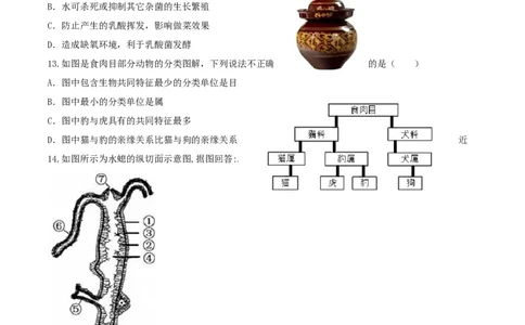 专题08图像分析-（人教版）（原卷版）_初中全科电子版试卷练习试题_生物_生物8上练习_人教生物8年级上专项练习23份_第1套八年级生物上册专项（人教版）09份