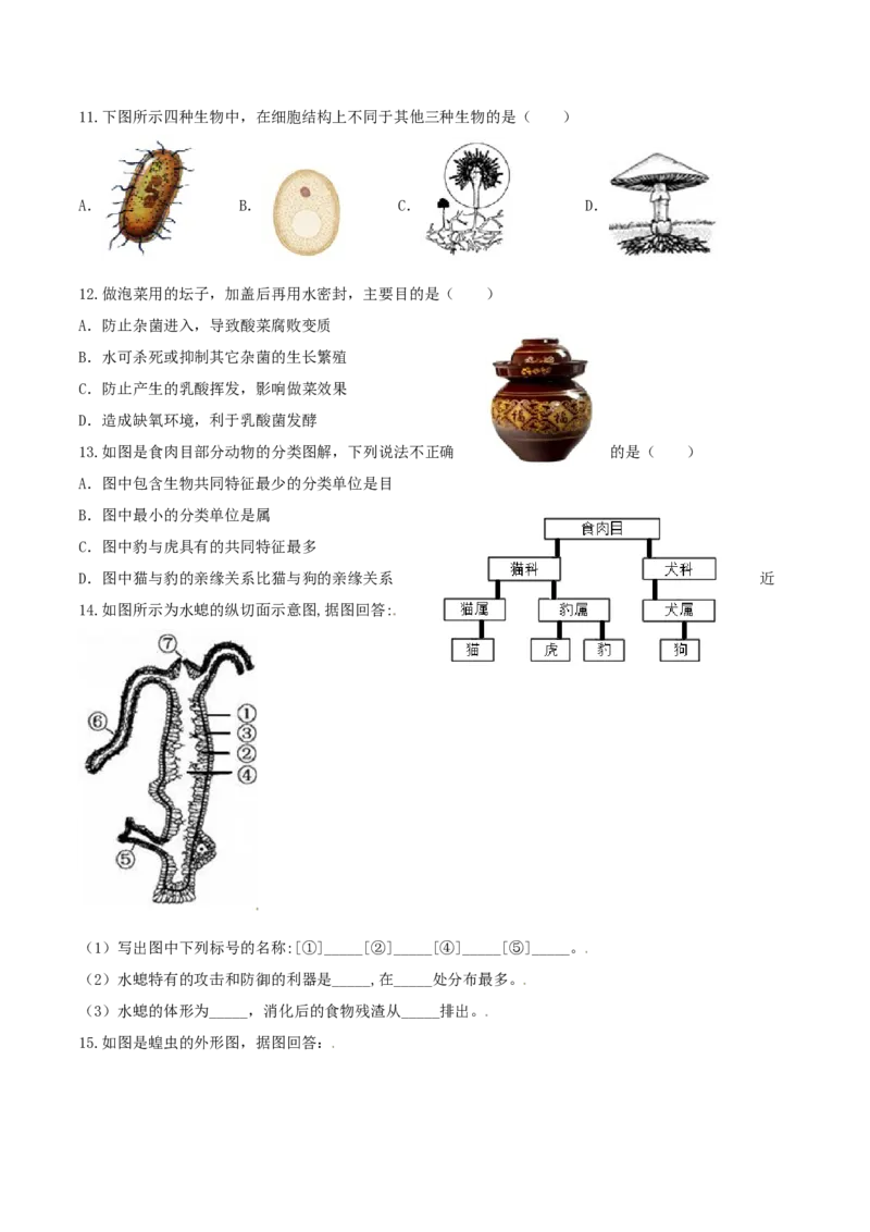 专题08图像分析-（人教版）（原卷版）_初中全科电子版试卷练习试题_生物_生物8上练习_人教生物8年级上专项练习23份_第1套八年级生物上册专项（人教版）09份