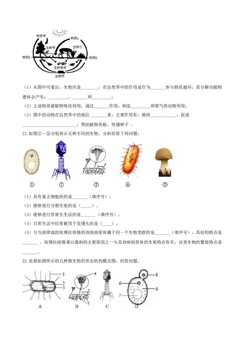 专题08图像分析-（人教版）（原卷版）_初中全科电子版试卷练习试题_生物_生物8上练习_人教生物8年级上专项练习23份_第1套八年级生物上册专项（人教版）09份