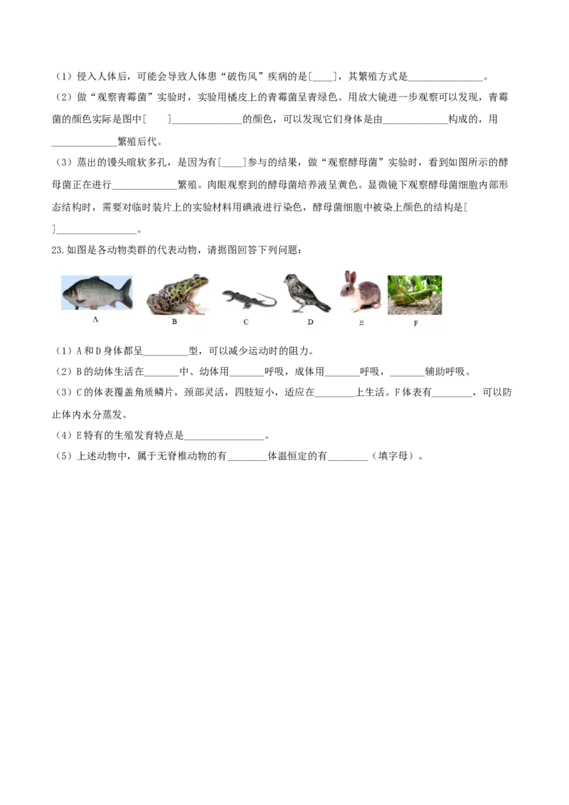专题08图像分析-（人教版）（原卷版）_初中全科电子版试卷练习试题_生物_生物8上练习_人教生物8年级上专项练习23份_第1套八年级生物上册专项（人教版）09份