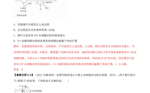 专题14选择题必刷（5大题型）（解析版）_2025年新高考资料_二轮复习_2025年高考生物二轮热点题型归纳与变式演练（新高考通用）3404350_专题14选择题必刷（5大题型）
