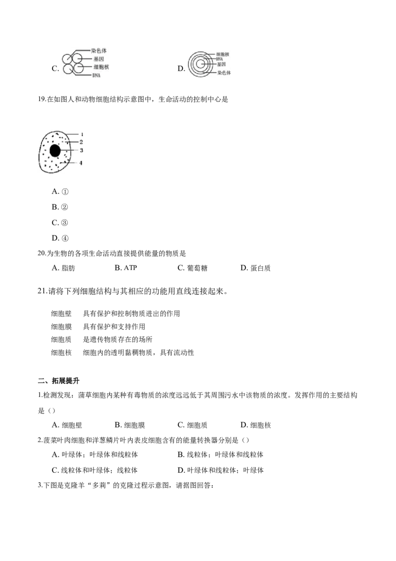 专题2.1.4细胞的生活（原卷版）_初中全科电子版试卷练习试题_生物_生物人教版7上练习&mdash;24新版已更新_人教生物7年级上课时练习39份_七年级生物上册课时练习（人教版）18份