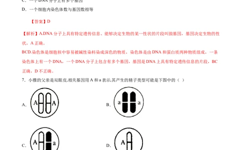 7.2.2基因在亲子代间的传递（基础练）-（人教版）（解析版）_初中全科电子版试卷练习试题_生物_生物8下练习_人教生物8年级下课时练习51份