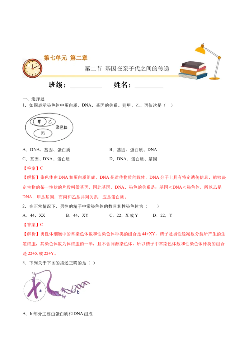 7.2.2基因在亲子代间的传递（基础练）-（人教版）（解析版）_初中全科电子版试卷练习试题_生物_生物8下练习_人教生物8年级下课时练习51份