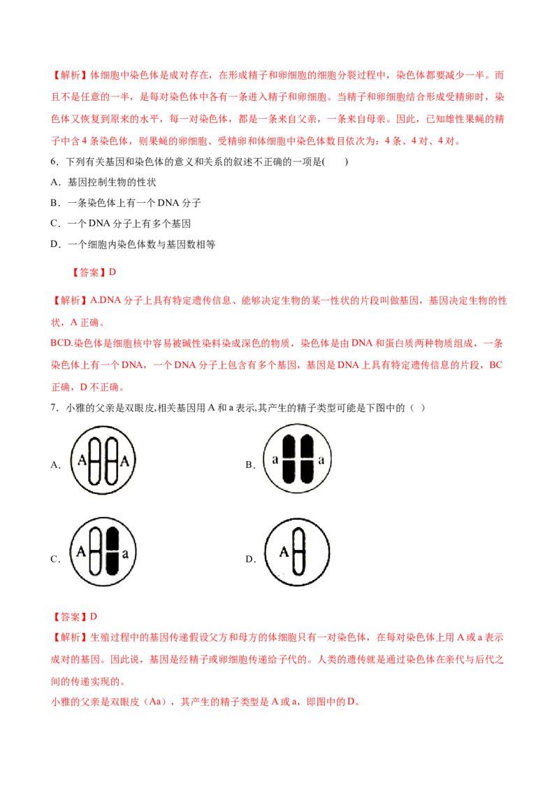 7.2.2基因在亲子代间的传递（基础练）-（人教版）（解析版）_初中全科电子版试卷练习试题_生物_生物8下练习_人教生物8年级下课时练习51份