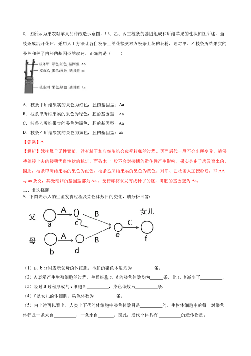 7.2.2基因在亲子代间的传递（基础练）-（人教版）（解析版）_初中全科电子版试卷练习试题_生物_生物8下练习_人教生物8年级下课时练习51份