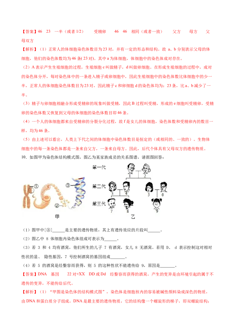 7.2.2基因在亲子代间的传递（基础练）-（人教版）（解析版）_初中全科电子版试卷练习试题_生物_生物8下练习_人教生物8年级下课时练习51份
