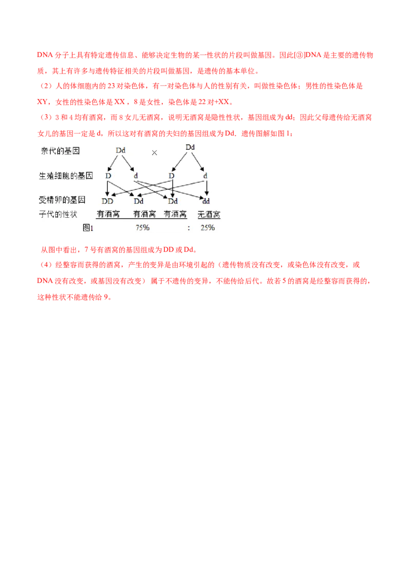 7.2.2基因在亲子代间的传递（基础练）-（人教版）（解析版）_初中全科电子版试卷练习试题_生物_生物8下练习_人教生物8年级下课时练习51份