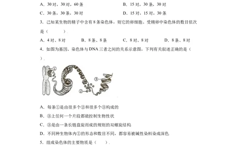 7.2.2基因在亲子代间的传递（练习）-（人教版）（原卷版)_初中全科电子版试卷练习试题_生物_生物8下练习_人教生物8年级下课时练习51份