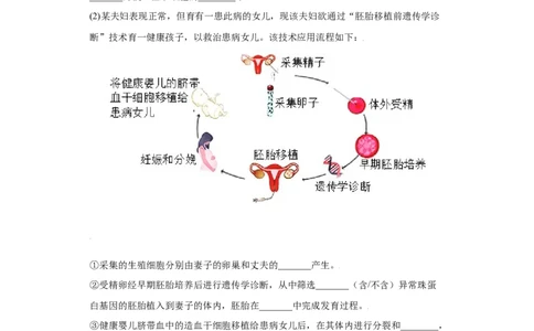 7.2.2基因在亲子代间的传递（练习）-（人教版）（原卷版)_初中全科电子版试卷练习试题_生物_生物8下练习_人教生物8年级下课时练习51份
