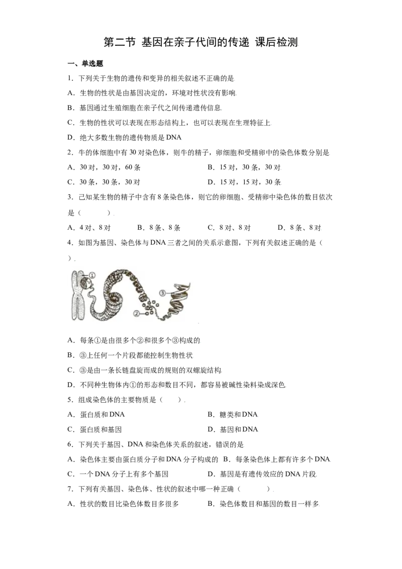 7.2.2基因在亲子代间的传递（练习）-（人教版）（原卷版)_初中全科电子版试卷练习试题_生物_生物8下练习_人教生物8年级下课时练习51份