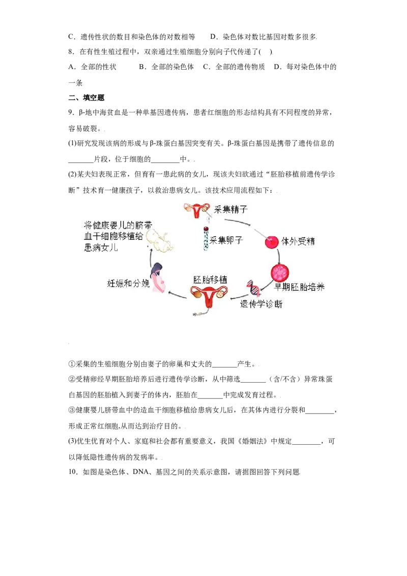 7.2.2基因在亲子代间的传递（练习）-（人教版）（原卷版)_初中全科电子版试卷练习试题_生物_生物8下练习_人教生物8年级下课时练习51份