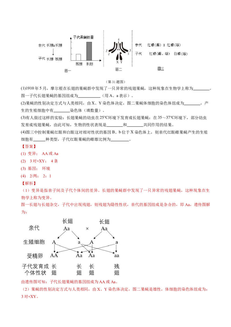 2024年中考押题预测卷（青岛卷）-生物（全解全析）_初中全科电子版试卷练习试题_生物_2024中考模拟题生物(1)_押题预测