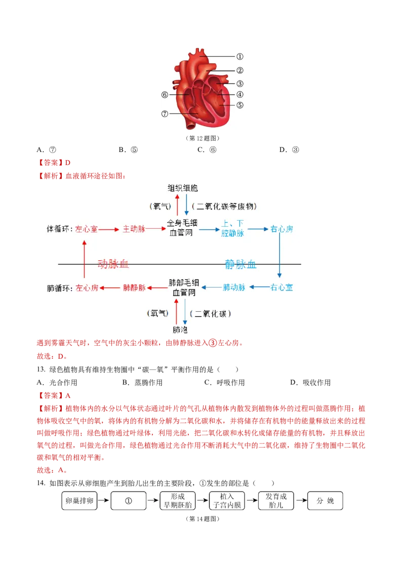 2024年中考押题预测卷（青岛卷）-生物（全解全析）_初中全科电子版试卷练习试题_生物_2024中考模拟题生物(1)_押题预测