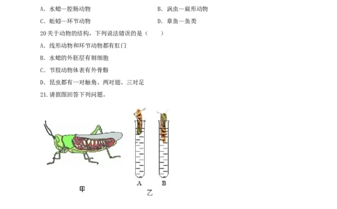专题01无脊椎动物-（人教版）（原卷版）_初中全科电子版试卷练习试题_生物_生物8上练习_人教生物8年级上专项练习23份_第1套八年级生物上册专项（人教版）09份
