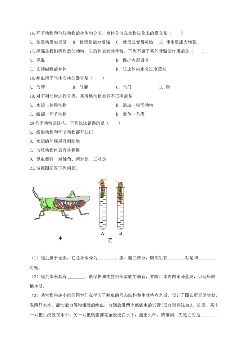 专题01无脊椎动物-（人教版）（原卷版）_初中全科电子版试卷练习试题_生物_生物8上练习_人教生物8年级上专项练习23份_第1套八年级生物上册专项（人教版）09份