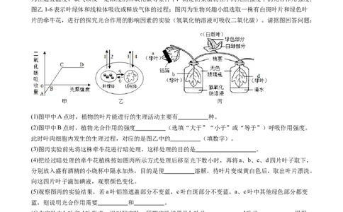 2024年中考押题预测卷01（内蒙古卷）-生物（全解全析）_初中全科电子版试卷练习试题_生物_2024中考模拟题生物(1)_押题预测