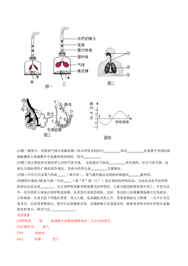 2024年中考押题预测卷01（内蒙古卷）-生物（全解全析）_初中全科电子版试卷练习试题_生物_2024中考模拟题生物(1)_押题预测
