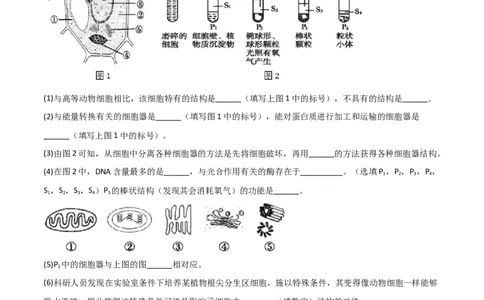 专题17信息提取必刷题（原卷版）_2025年新高考资料_二轮复习_2025年高考生物二轮热点题型归纳与变式演练（新高考通用）3404350_专题17信息提取必刷题