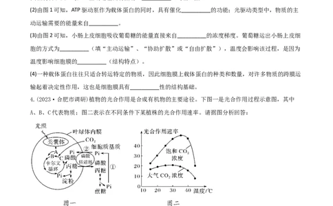 专题17信息提取必刷题（原卷版）_2025年新高考资料_二轮复习_2025年高考生物二轮热点题型归纳与变式演练（新高考通用）3404350_专题17信息提取必刷题