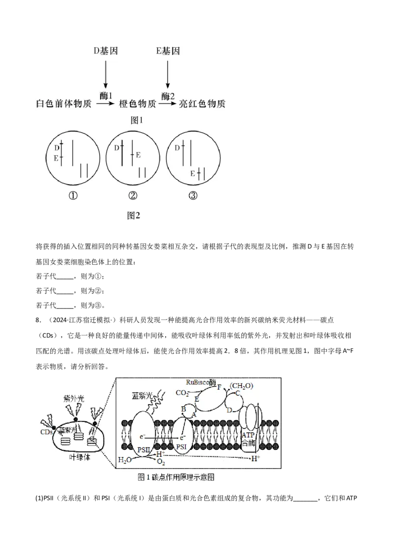 专题17信息提取必刷题（原卷版）_2025年新高考资料_二轮复习_2025年高考生物二轮热点题型归纳与变式演练（新高考通用）3404350_专题17信息提取必刷题