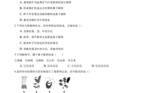 3.1章末检测（原卷版）_初中全科电子版试卷练习试题_生物_生物人教版7上练习&mdash;24新版已更新_人教生物7年级上单元试卷36份_第3套七年级生物上册单元试卷（人教版）06份