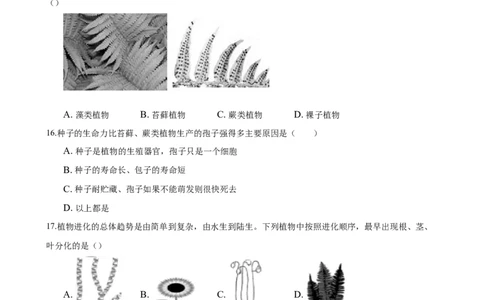 3.1章末检测（原卷版）_初中全科电子版试卷练习试题_生物_生物人教版7上练习&mdash;24新版已更新_人教生物7年级上单元试卷36份_第3套七年级生物上册单元试卷（人教版）06份