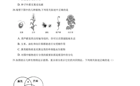 3.1章末检测（原卷版）_初中全科电子版试卷练习试题_生物_生物人教版7上练习&mdash;24新版已更新_人教生物7年级上单元试卷36份_第3套七年级生物上册单元试卷（人教版）06份