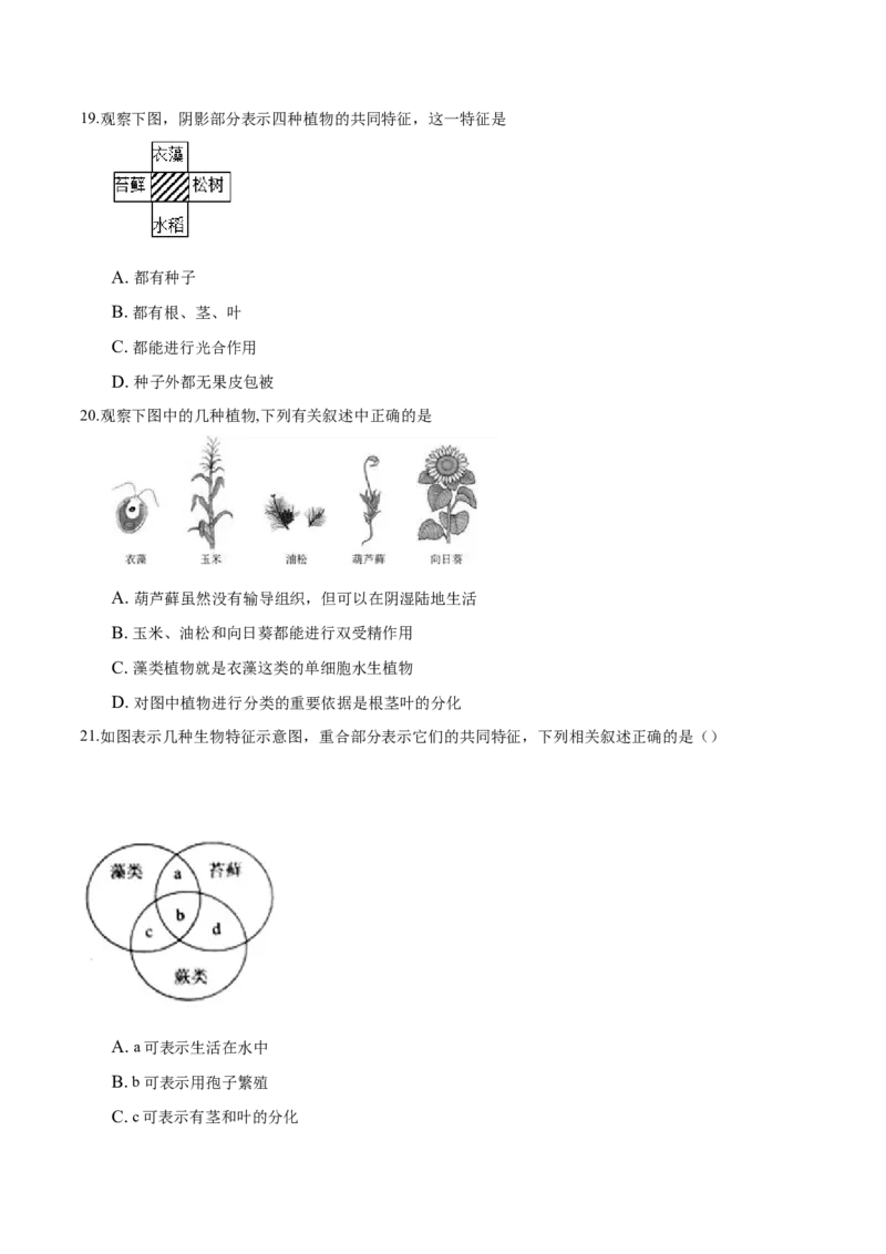 3.1章末检测（原卷版）_初中全科电子版试卷练习试题_生物_生物人教版7上练习&mdash;24新版已更新_人教生物7年级上单元试卷36份_第3套七年级生物上册单元试卷（人教版）06份