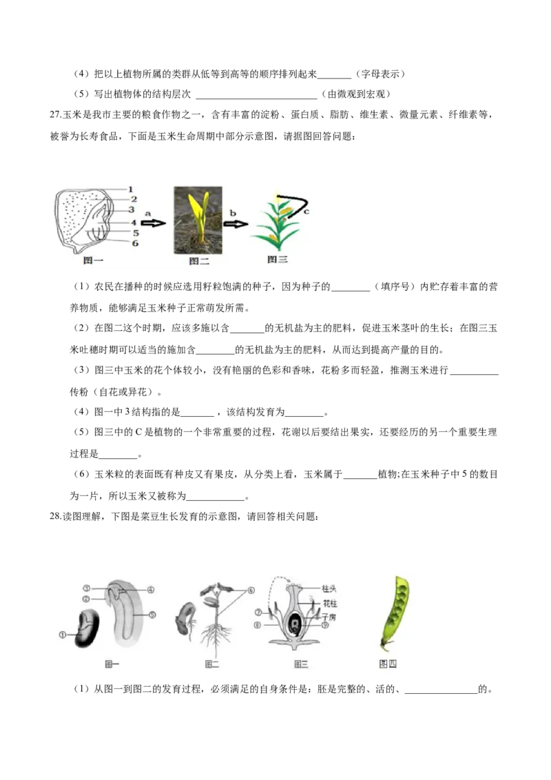 3.1章末检测（原卷版）_初中全科电子版试卷练习试题_生物_生物人教版7上练习&mdash;24新版已更新_人教生物7年级上单元试卷36份_第3套七年级生物上册单元试卷（人教版）06份