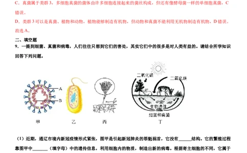5.5病毒（练习）（解析版）_初中全科电子版试卷练习试题_生物_生物8上练习_人教生物8年级上课时练习37份_第1套八年级生物上册课时练习（人教版）16份
