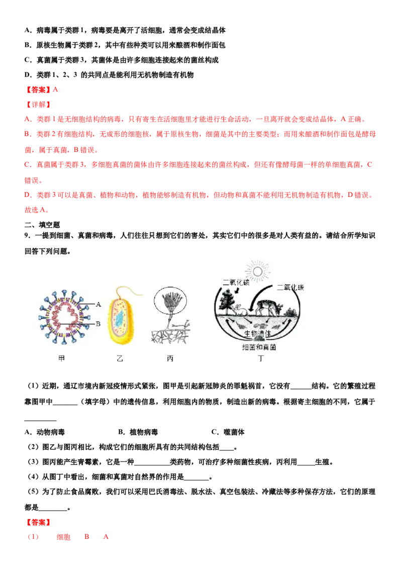 5.5病毒（练习）（解析版）_初中全科电子版试卷练习试题_生物_生物8上练习_人教生物8年级上课时练习37份_第1套八年级生物上册课时练习（人教版）16份