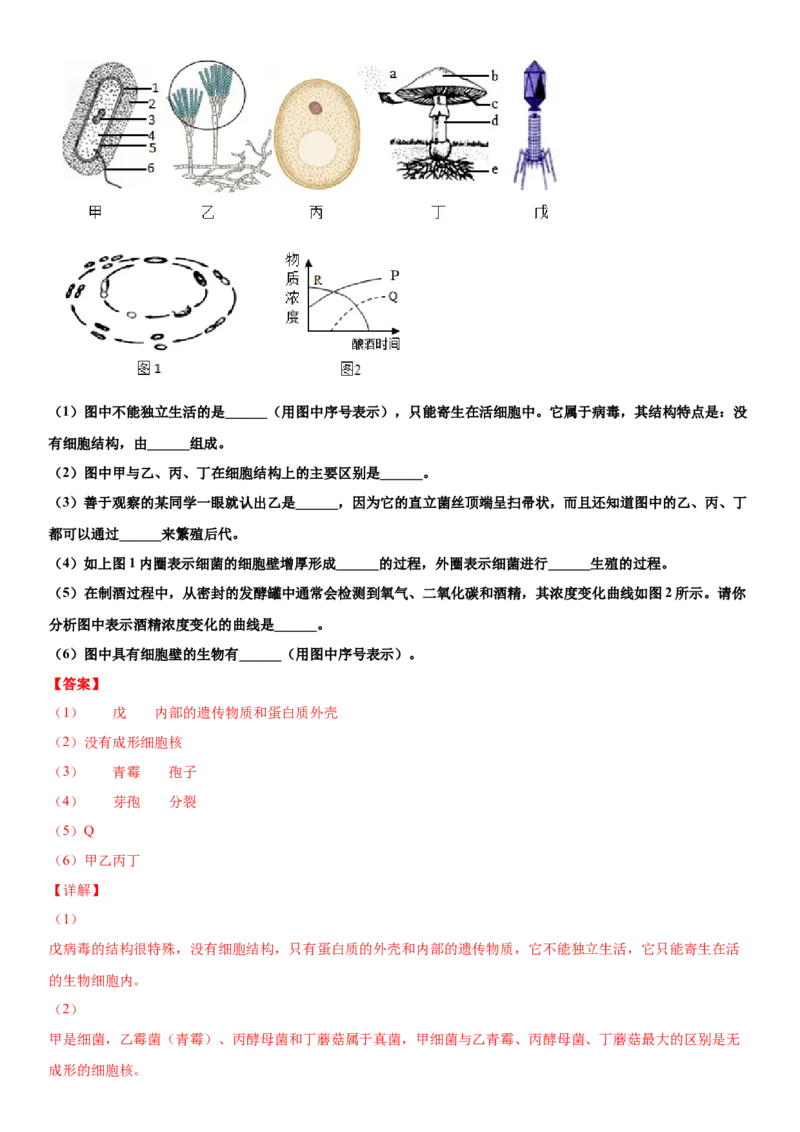 5.5病毒（练习）（解析版）_初中全科电子版试卷练习试题_生物_生物8上练习_人教生物8年级上课时练习37份_第1套八年级生物上册课时练习（人教版）16份