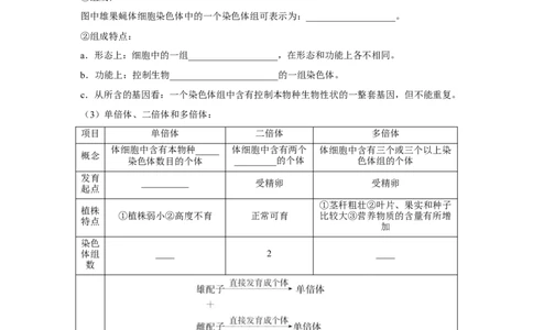 专题20染色体变异与生物育种（原卷版）_新高考复习资料_2023年新高考复习资料_二轮复习_增分要点2023高考生物二轮复习专题解读和分层训练291073137