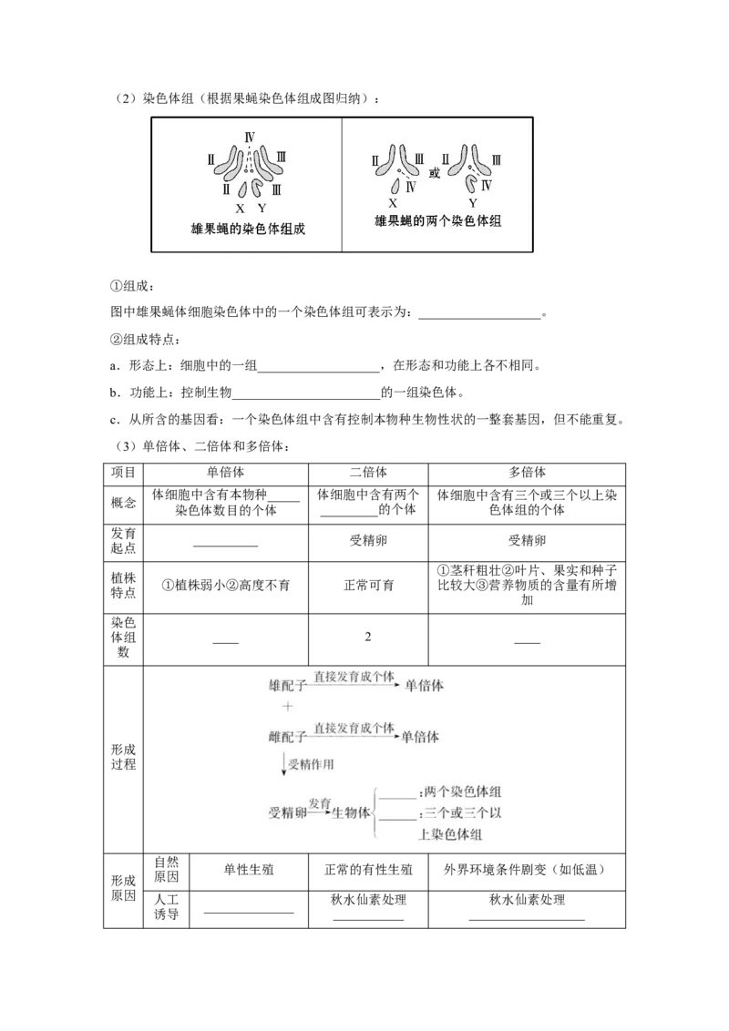 专题20染色体变异与生物育种（原卷版）_新高考复习资料_2023年新高考复习资料_二轮复习_增分要点2023高考生物二轮复习专题解读和分层训练291073137