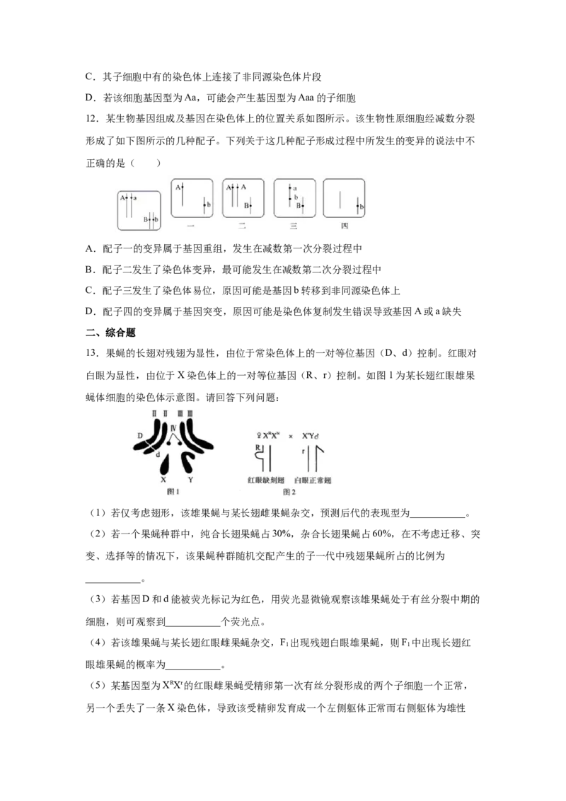专题20染色体变异与生物育种（原卷版）_新高考复习资料_2023年新高考复习资料_二轮复习_增分要点2023高考生物二轮复习专题解读和分层训练291073137
